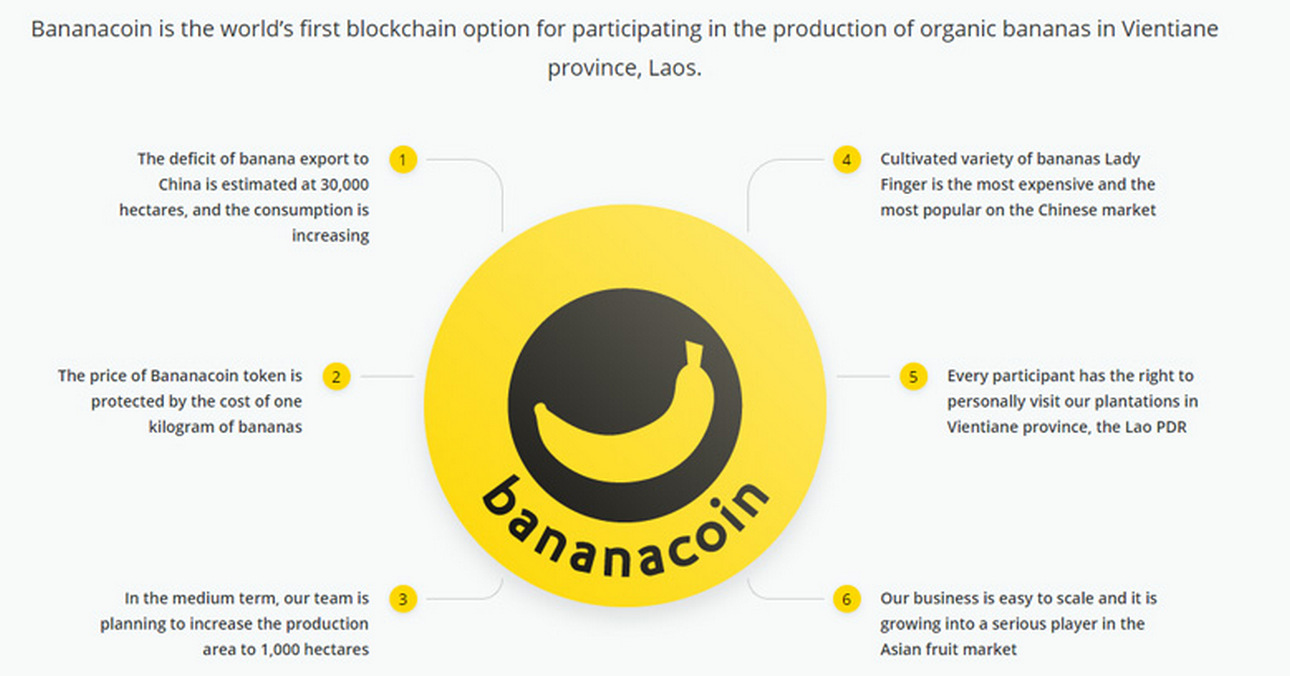 cryptocurrency blockchain 009